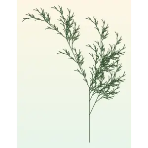 L-System Fern